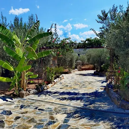 Elaion Thea-Nies Villa Sourpi Exterior photo
