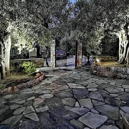 Elaion Thea-Nies Villa Sourpi Exterior photo
