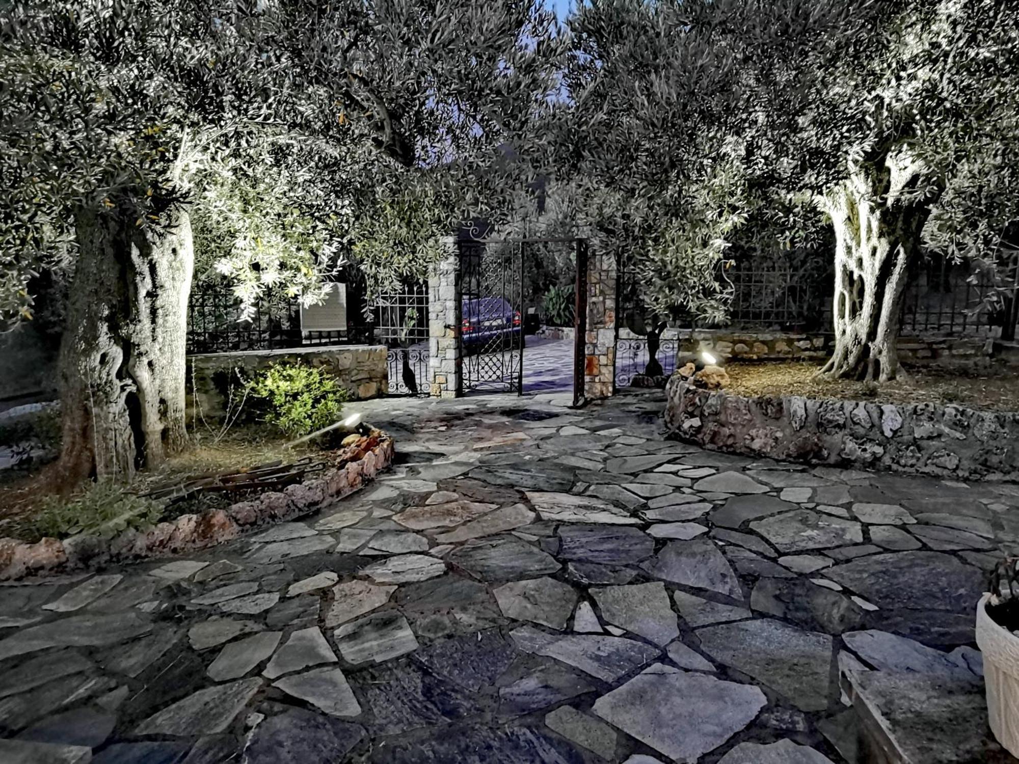 Holiday home Elaion Thea-nies Sourpi
